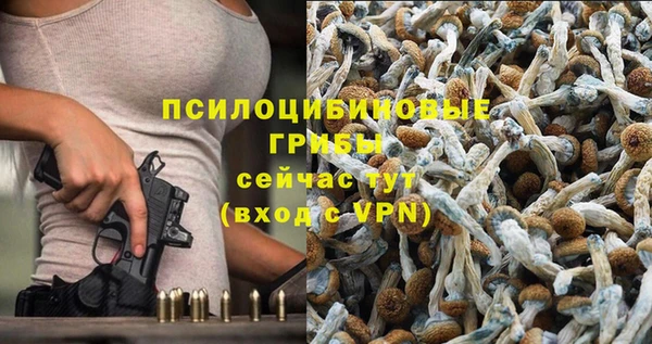 ALPHA PVP Алзамай